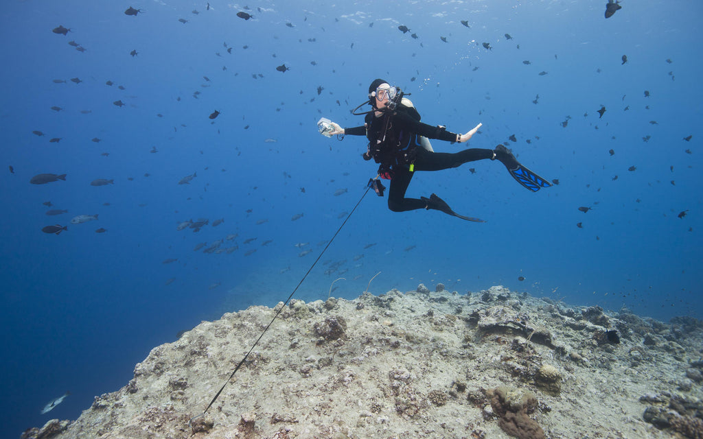 A scuba diver in full gear is underwater, surrounded by numerous small fish. The diver is holding onto a line and appears to be exploring a coral reef.