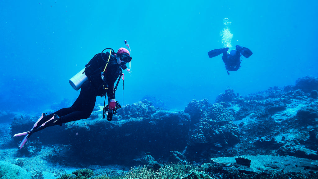 a scuba diver exploring underwater on a dive trip