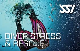 Benefits of Rescue Diver Courses | Paragon Dive Group