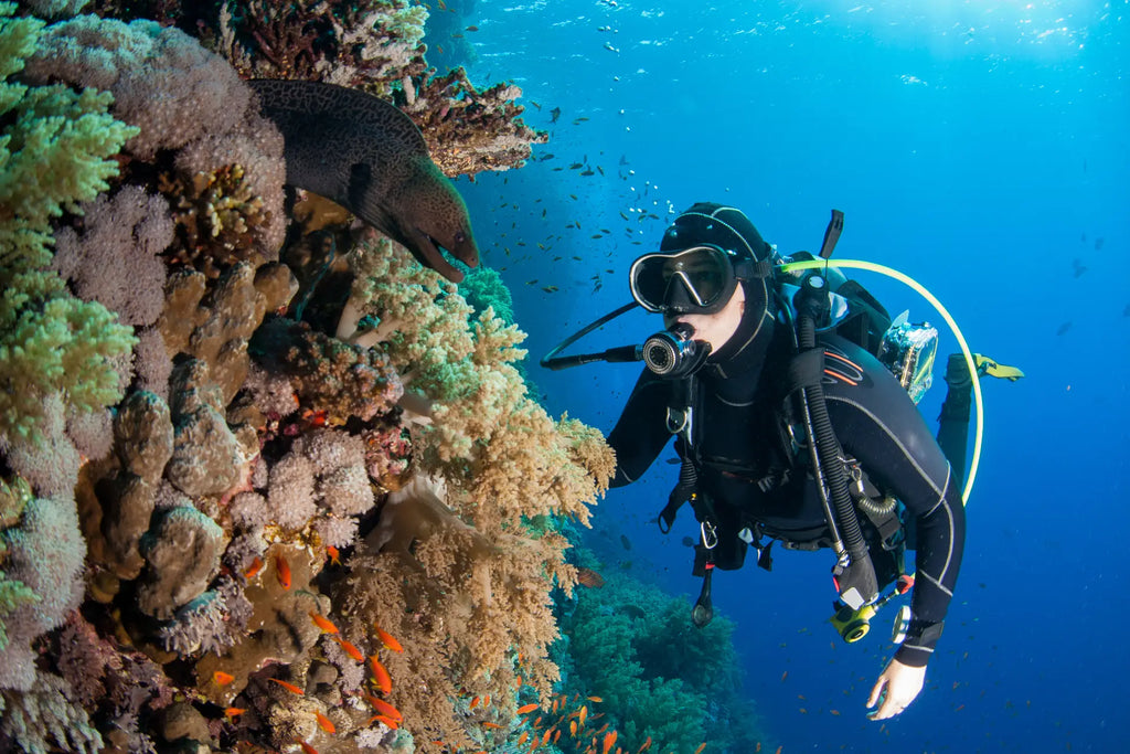The Ultimate Buyer's Guide to Your First Scuba Gear Setup