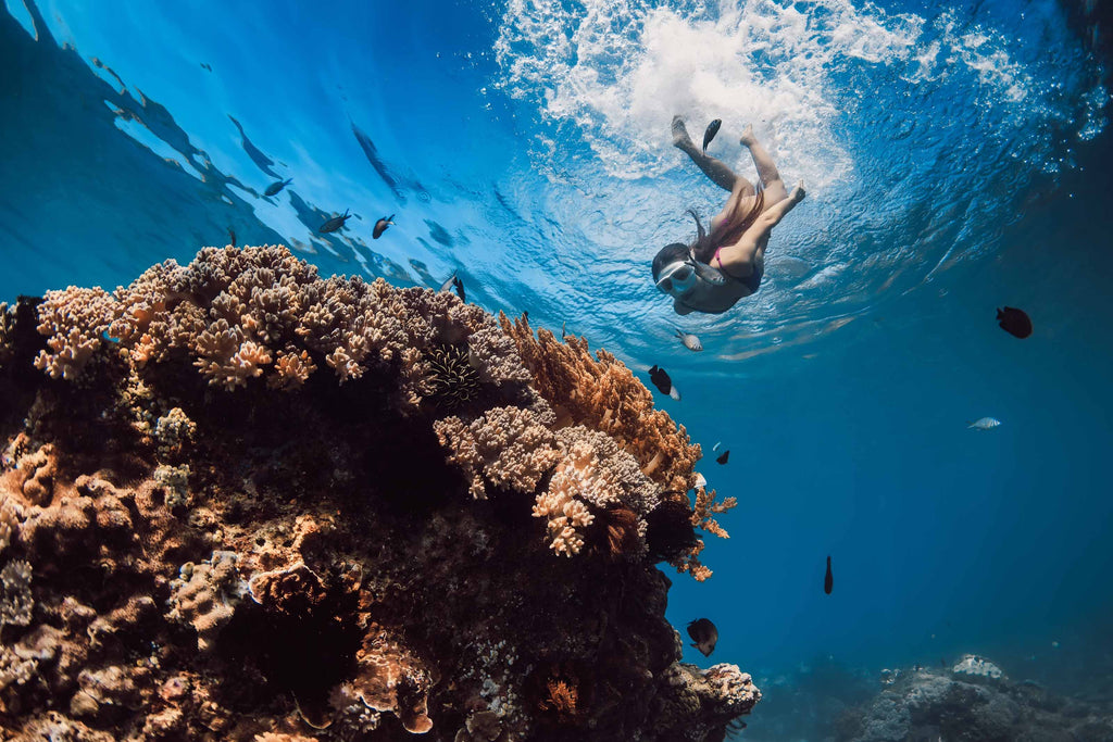 a woman freediving underwater heading towards a big reef