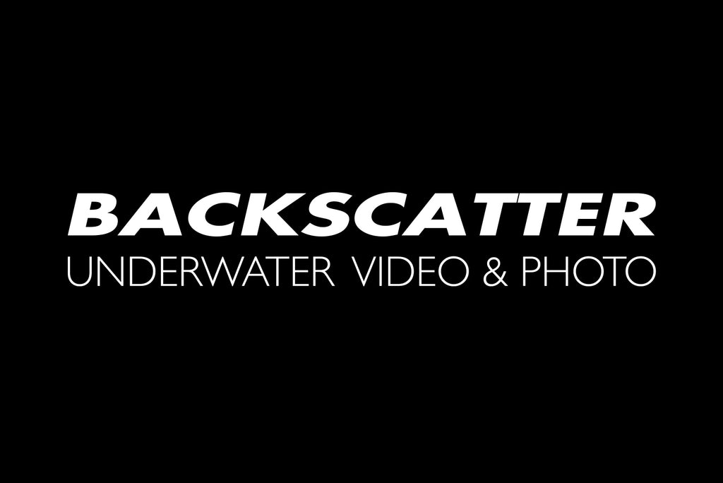 Backscatter Photo & Video