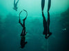 PADI - Freediver