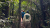 Travel - 6/7-10, 2026 - Borneo Jungle Excursion, Malaysia
