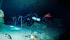 Services - Guided Cave Dives